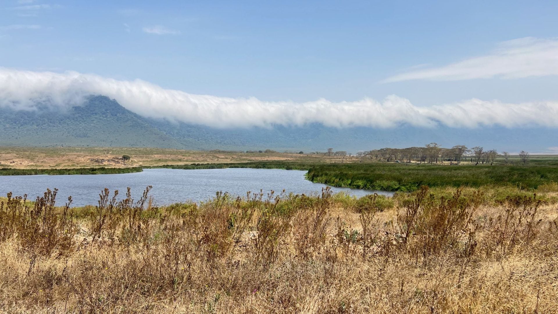 The Ngorongoro highlands seen across a crater-floor lake, a dense bank of cloud spilling over the rim like a waterfall and green marsh grass lining the shore.